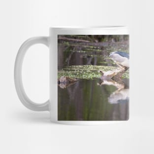 Black-crowned Night Heron Mug